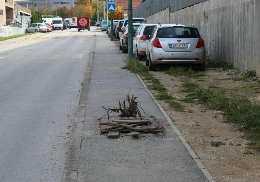 FOTO:  E. MURAČEVIĆ