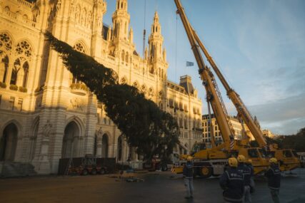 Ispred bečke gradske vijećnice postavljena impozantna jelka visoka 28 metara za zimski ugođaj
