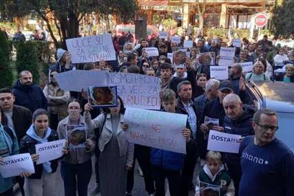 GORAŽDE Dječak kojeg je napao pas lutalica pod nadzorom ljekara, protesti građana pred Gradskom upravom
