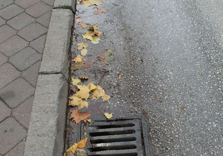 FOTO: E. MURAČEVIĆ