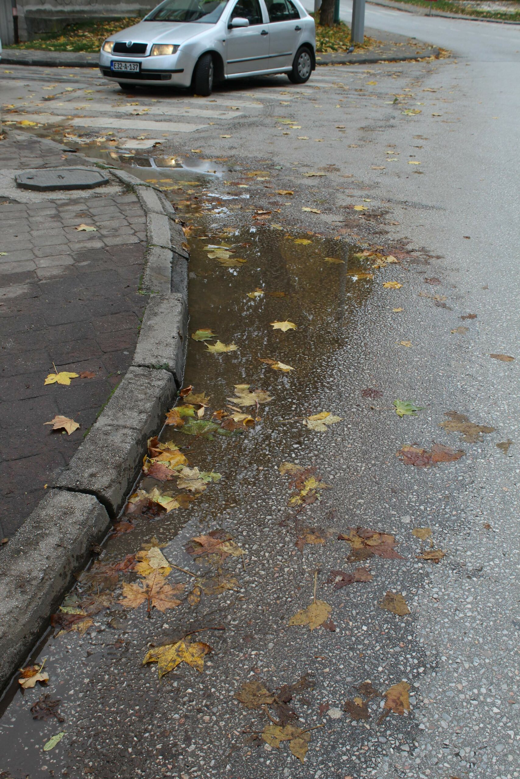 FOTO: E. MURAČEVIĆ