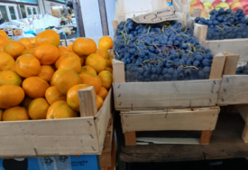 Suša pomjera početak berbe grožđa