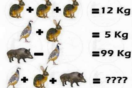 Vrlo jednostavan matematički zadatak mnogima je zadao probleme