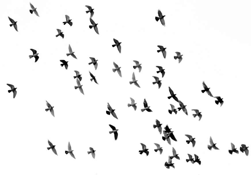 FOTO: UNSPLASH