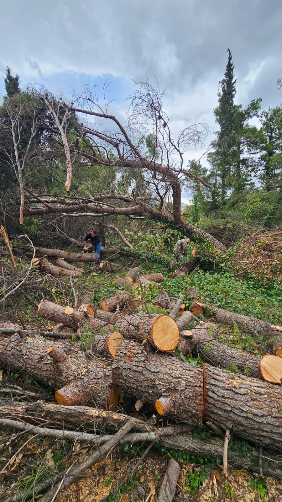 FOTO: MO BIH