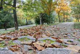Stižu hladni dani: Pripremite jakne i džempere...