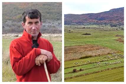 Od jutra do sutra: Najpoznatiji pastir na glamočkom polju s 800 ovaca (VIDEO)