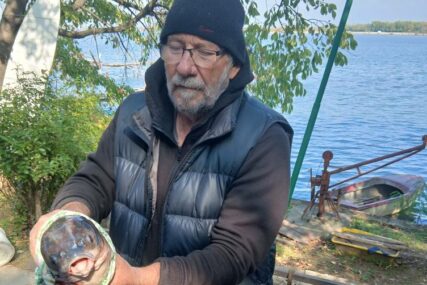(FOTO) Misterij iz Dunava: Ribar ulovio 'mutanta', društvene mreže gore od nagađanja