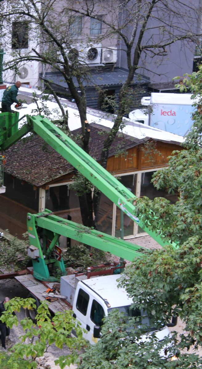 FOTO: E. MURAČEVIĆ
