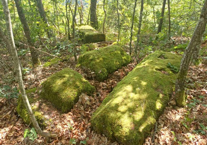 FOTO: FONDACIJA BASSANIA 