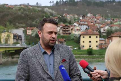 Gradonačelnik demantovao navode: Nijedan pas nije ubijen u Goraždu, pozvali smo udruženja i azile da ih preuzmu - mnogi se nisu javili