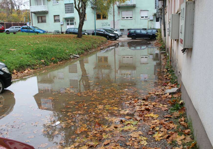 FOTO: E. MURAČEVIĆ