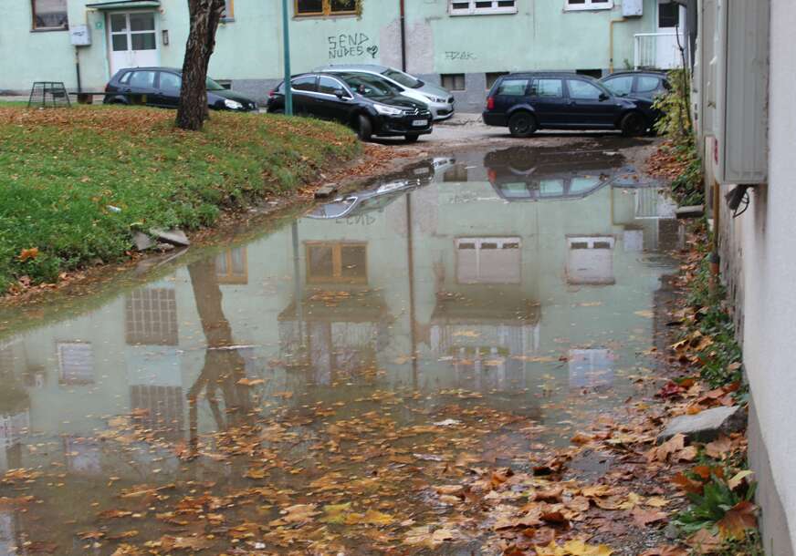 FOTO: E. MURAČEVIĆ