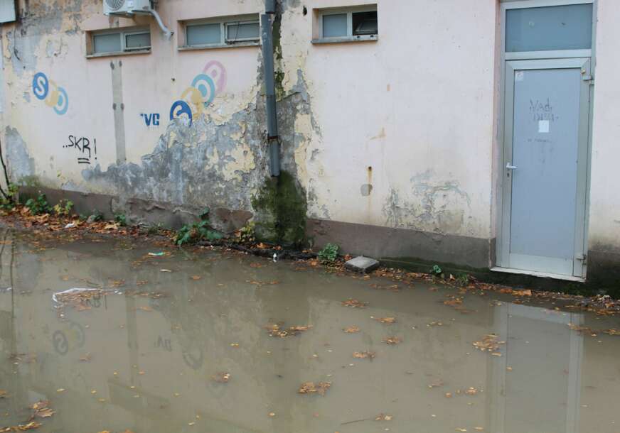 FOTO: E. MURAČEVIĆ