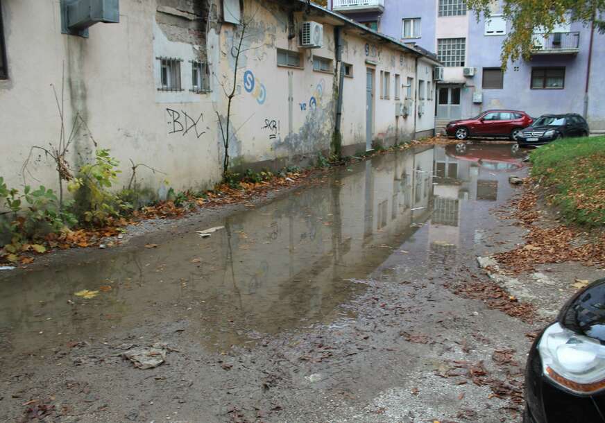 FOTO: E. MURAČEVIĆ
