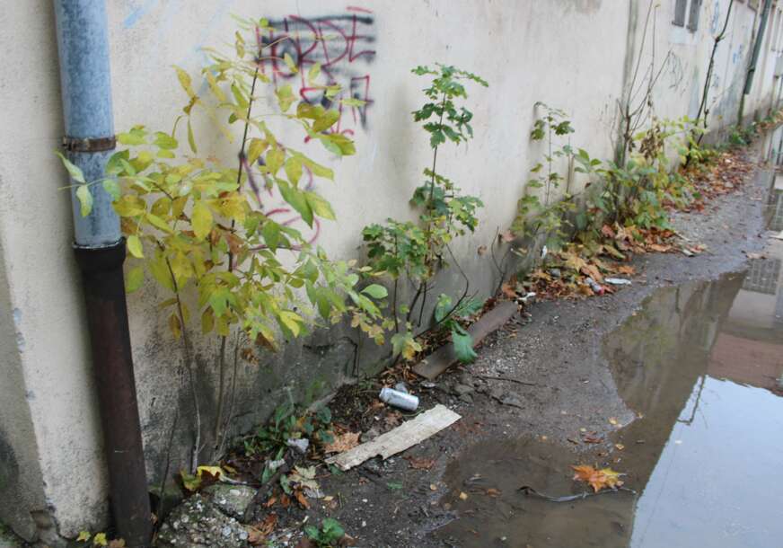 FOTO: E. MURAČEVIĆ