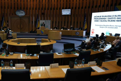 EKOLOŠKA KATASTROFA Stručnjaci traže odgovornost za pomor ribe u Neretvi