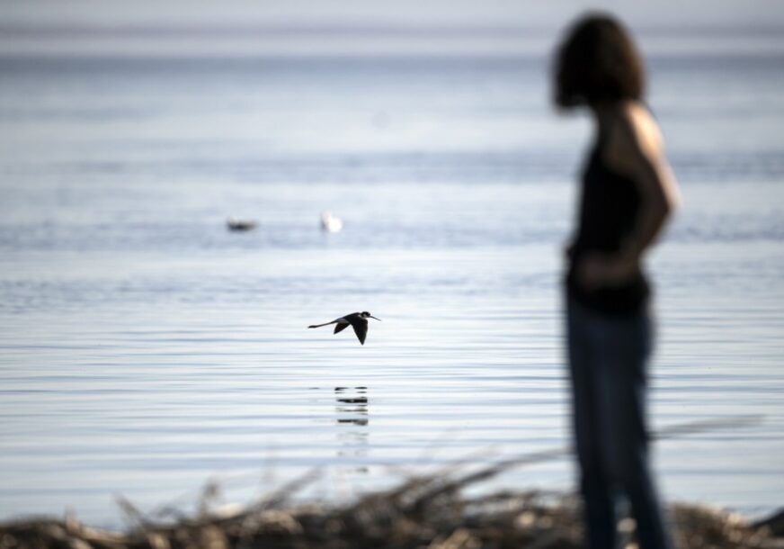 FOTO: EPA/ETIENNE LAURENT
