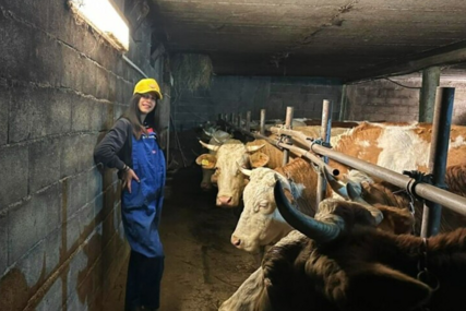 Belkisa prije škole završi poslove u štali, sanja diplomu veterinara i veliki traktor