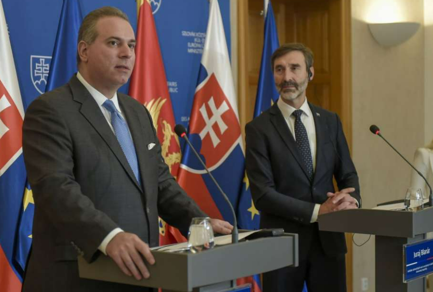 FOTO: URED POTPREDSJEDNIKA VLADE ZA VANJSKE I EUROPSKE POSLOVE CG