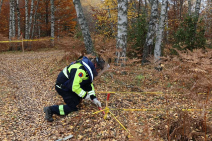 Na lokalitetu Zebina šuma u Općini Foča u FBiH u toku deminiranje