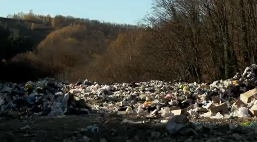 FOTO: PRINTSCREEN VIDEO FEDERALNA
