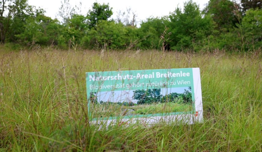 FOTO: VOTAVA_STADT WIEN