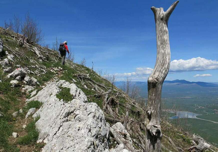 FOTO: BRACO BABIĆ