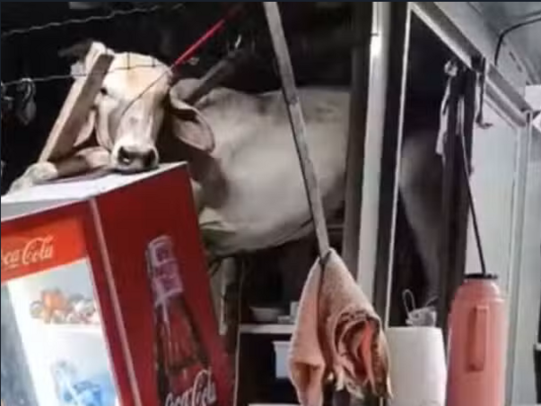 FOTO: MREŽA X/ SCREENSHOT