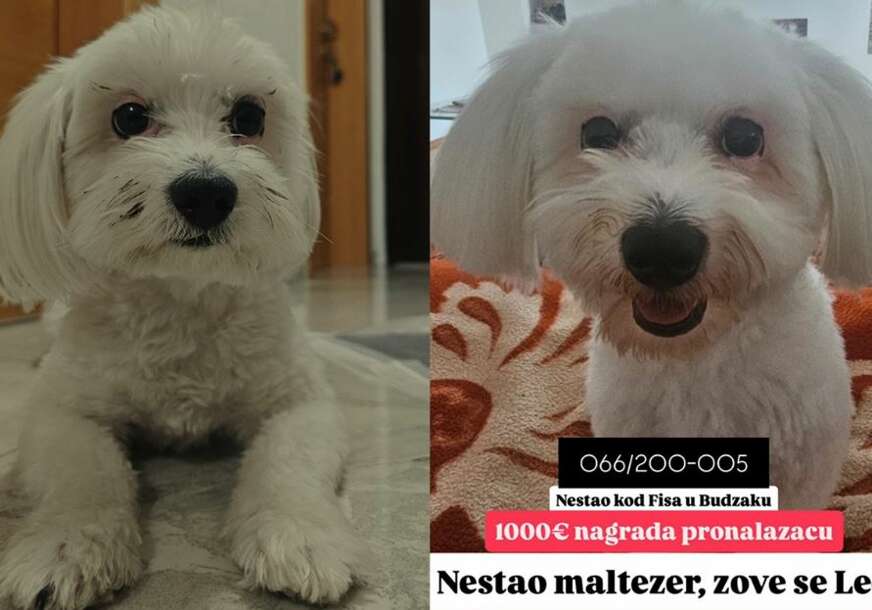 FOTO: USTUPLJENE FOTOGRAFIJE