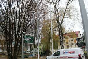 FOTO: E. MURAČEVIĆ