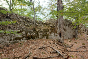 FOTO:  FONDACIJA “ČUVARI BAŠTINE – BASSANIA”