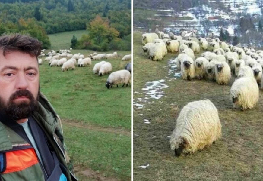 FOTO: NESIB BEGOVIĆ