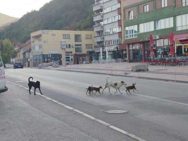 FOTO: FENA