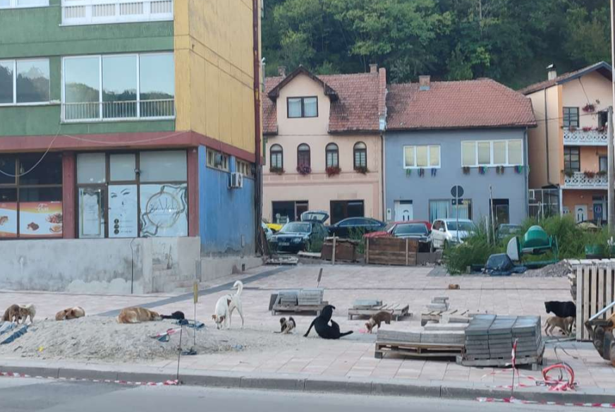FOTO: FENA / ELMA GECA