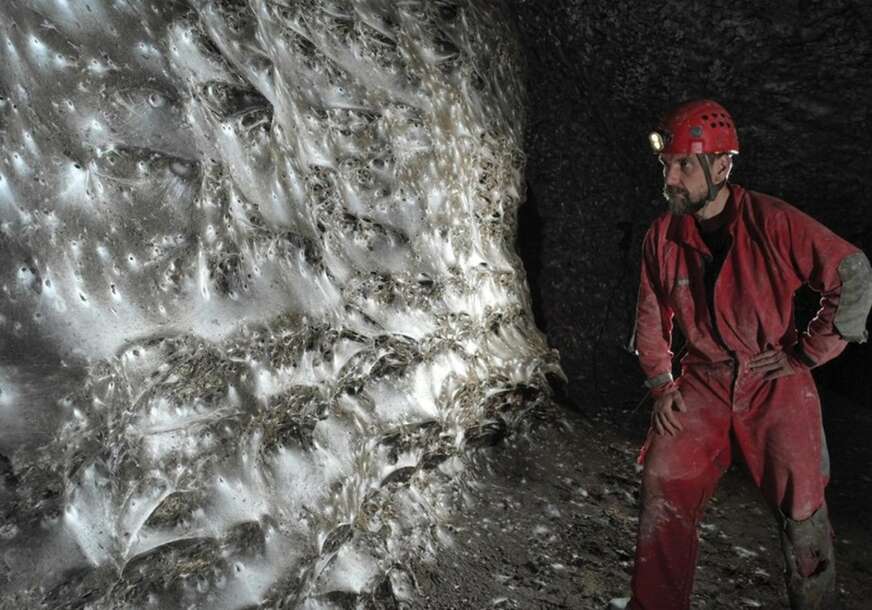 FOTO: SUBTERRANEAN BIOLOGY