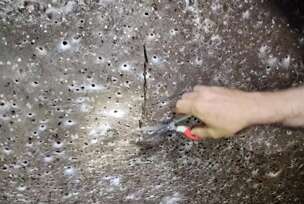 FOTO: SUBTERRANEAN BIOLOGY