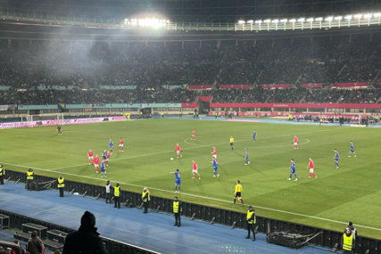 UEFA kaznila NSBiH zbog divljanja navijača u Austriji