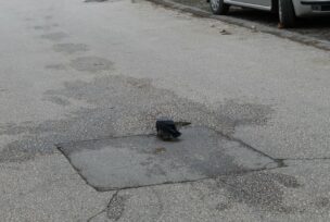 FOTO: E. MURAČEVIĆ