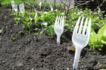 Učinkoviti trik: Evo zašto biste u svoj vrt ove zime trebali staviti plastične viljuške?