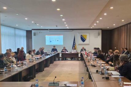 Sastanak Odbora donatora za protuminsko djelovanje, učesnici pozdravili donošenje novog zakona