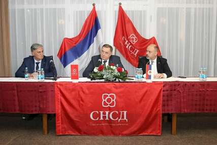 SNSD reagovao na izbor Blanuše za predsjednika SDS-a: Traže da im odgovori na nekoliko pitanja