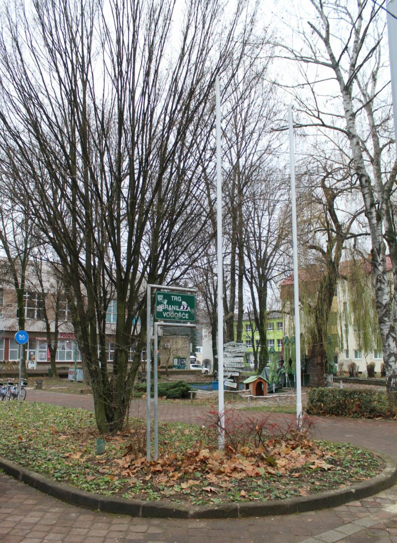 FOTO: E. MURAČEVIĆ
