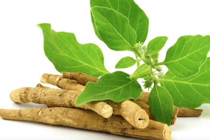 Odličan dodatak prehrani: Ashwagandha – olakšava borbu protiv stresa