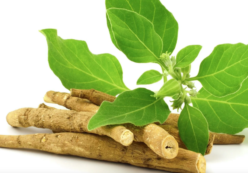FOTO: AAYUCLINICS.COM