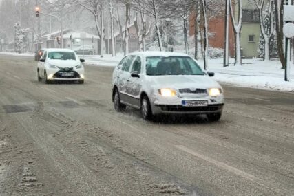 Iz BIHAMK-a na nekoliko dionica upozoravaju na divlje konje