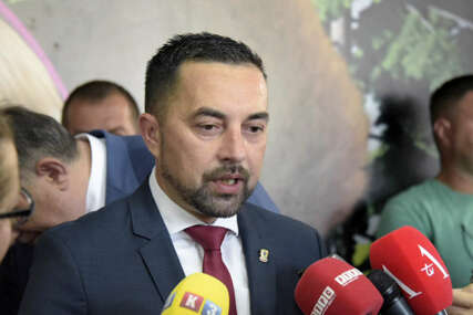 GUBITNIK DANA Boris Jerinić