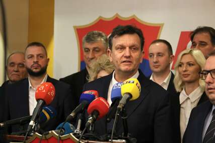 Branko Blanuša novi predsjednik SDS