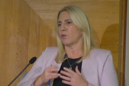 Cvijanović: "Ili dijalog ili dalje propadanje BiH, treće opcije nema"