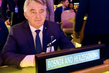 Komšić se obratio u Domu parlamenta Ujedinjenog Kraljevstva: Obnova državnosti BiH nije se desila 1992.
